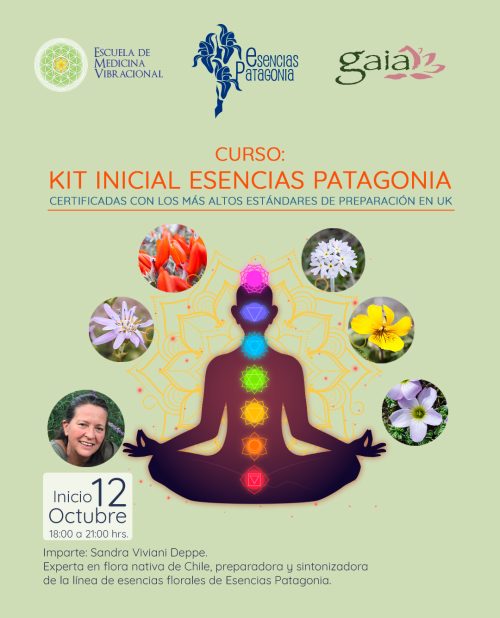 Curso: Kit Inicial Esencias Patagonia