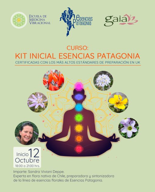 Curso: Kit Inicial Esencias Patagonia