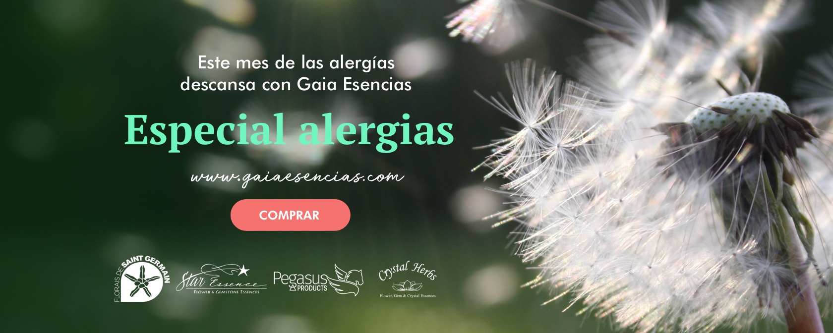 mes-alergias-gaiaesencias