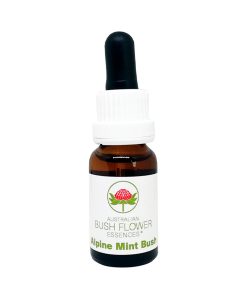 Alpine Mint Bush - Flores de Bush
