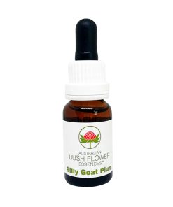 Billy Goat Plum - Flores de Bush