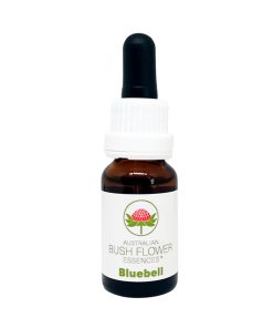 Bluebell - Flores de Bush