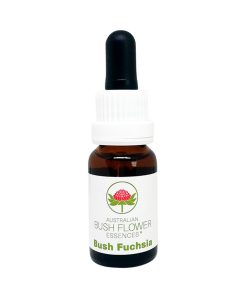 Bush Fuchsia - Flores de Bush