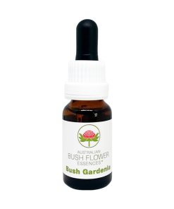 Bush Gardenia - Flores de Bush