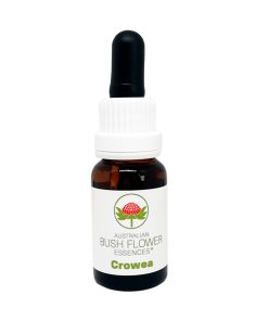 Crowea - Flores de Bush