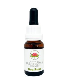 Dog Rose - Flores de Bush