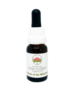 Dog Rose of the Wild Forces - Flores de Bush