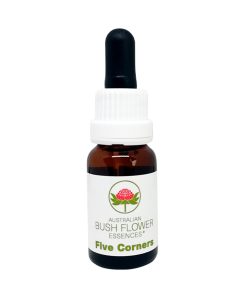 Five Corners - Flores de Bush