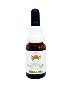 Hibbertia - Flores de Bush