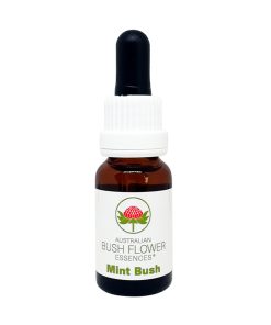 Mint Bush - Flores de Bush