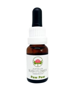 Paw Paw - Flores de Bush