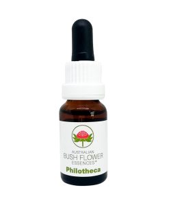 Philotheca - Flores de Bush