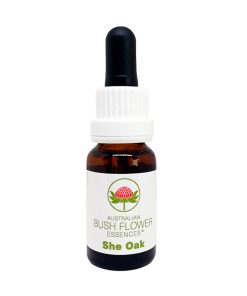She Oak - Flores de Bush