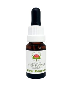Silver Princess - Flores de Bush