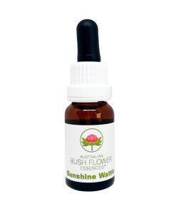 Sunshine Wattle - Flores de Bush