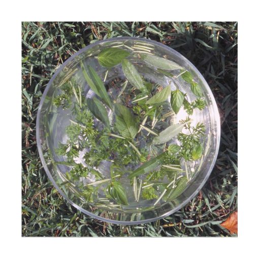 Green Essence - Flores de Bush - Imagen 2