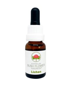 Lichen - Flores de Bush