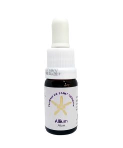 Allium - Saint Germain