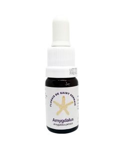 Amygdalus - Saint Germain