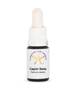 Capim Seda (Hierba Seda) - Saint Germain