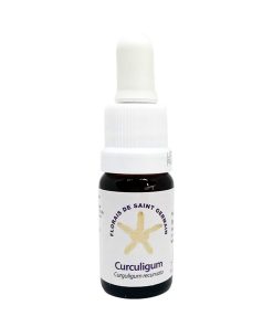 Curculigum - Saint Germain