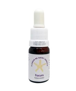 Focum - Saint Germain