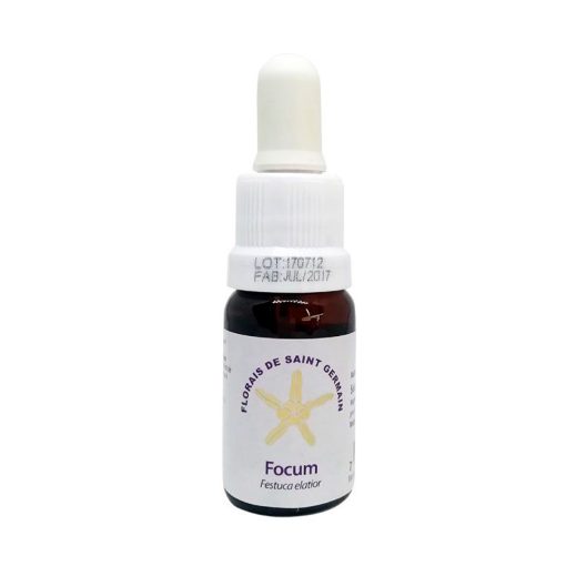 Focum - Saint Germain