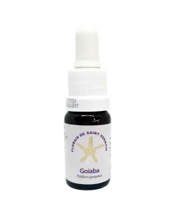 Goiaba (Guayaba) - Saint Germain