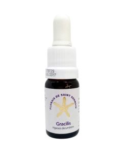 Gracilis - Saint Germain