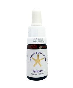 Panicum - Saint Germain