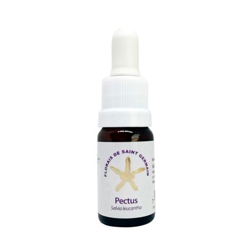 Pectus - Saint Germain