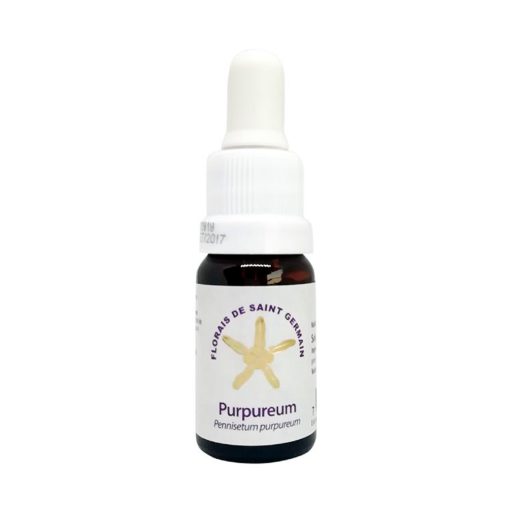 Purpureum - Saint Germain