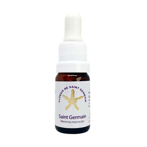 Saint Germain - Saint Germain