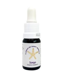 Sorgo - Saint Germain
