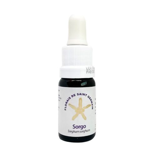 Sorgo - Saint Germain