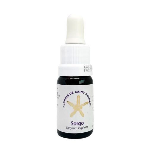 Sorgo - Saint Germain