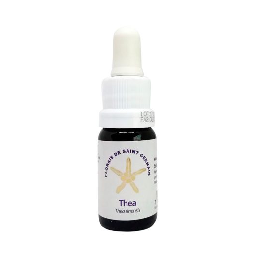 Thea - Saint Germain