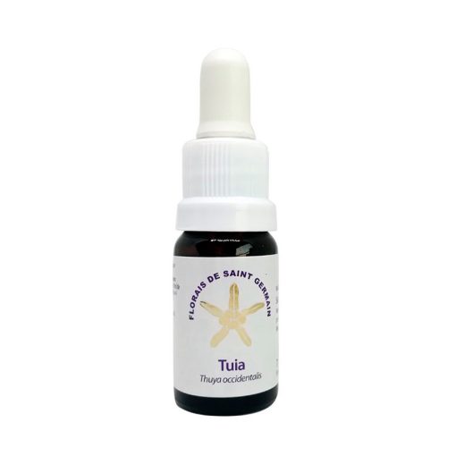 Tuia - Saint Germain