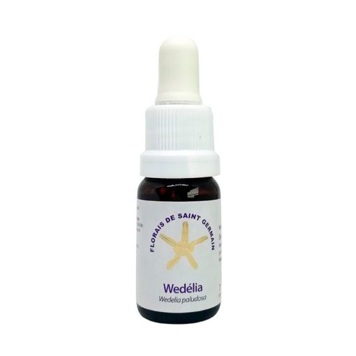 Wedélia - Saint Germain
