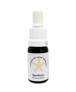 Bambusa - Saint Germain