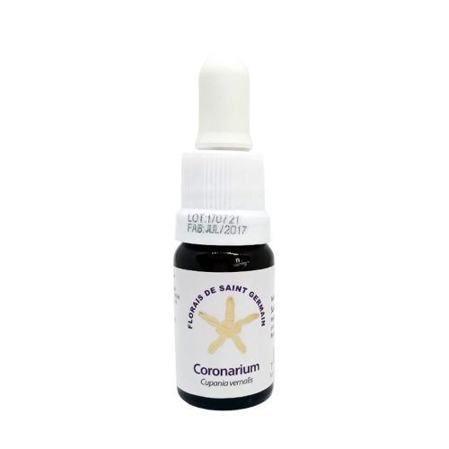 Coronarium (Coronario) - Saint Germain