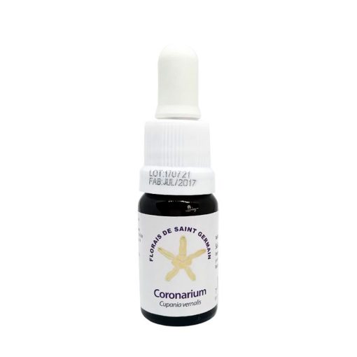 Coronarium (Coronario) - Saint Germain