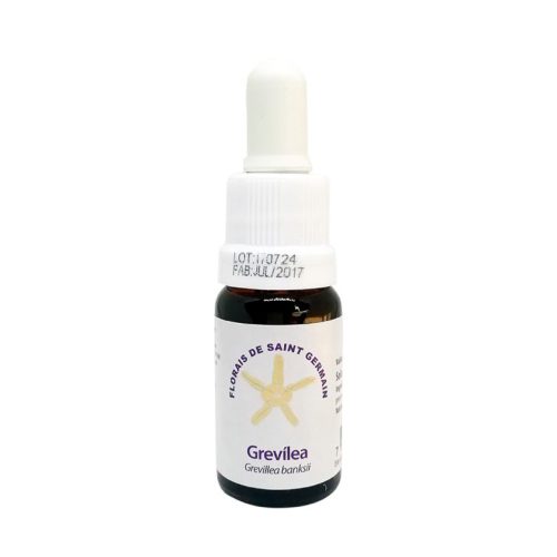 Grevílea (Grevilea) - Saint Germain