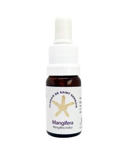 Mangífera (Mangifera) - Saint Germain