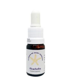 Alcachofra (Alcachofa) - Saint Germain
