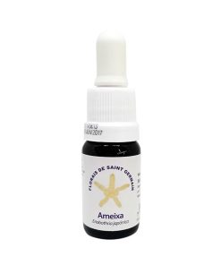 Ameixa (Ciruela) - Saint Germain