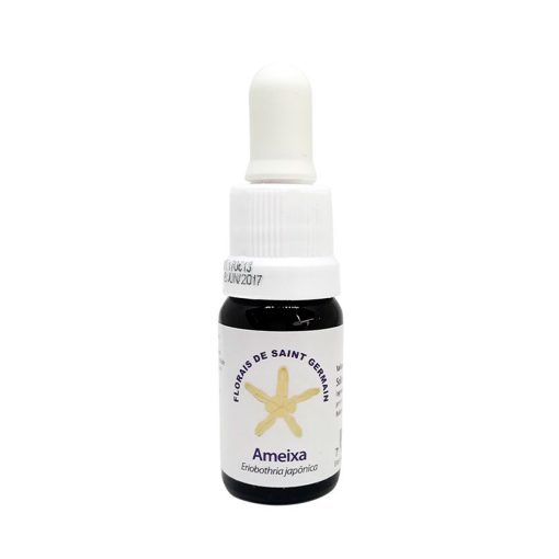 Ameixa (Ciruela) - Saint Germain