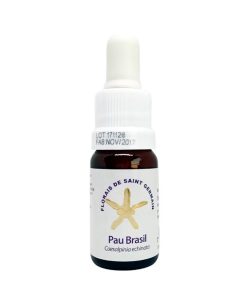 Pau Brasil - Saint Germain