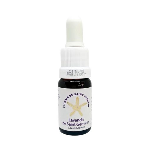 Lavanda de Saint Germain - Saint Germain