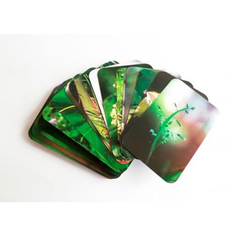Cartas Saint Germain. Florais de Saint Germain - Imagen 3